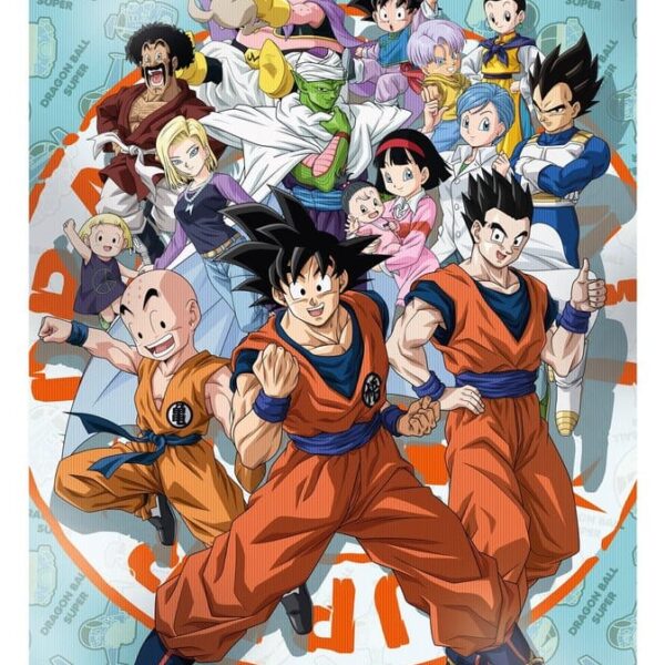 Dragon Ball Super 3D Poster Universe Survival 38 x 58 cm