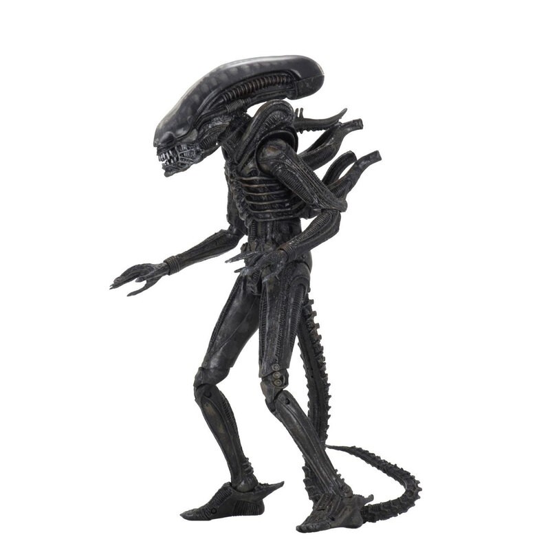 NECA68364 -- 000 (33788) Alien Ultimate 40th Anniversary Big Chap Af - immagine 1