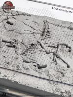 Jurassic Park III Excavation Map Velociraptor 27 cm - immagine 2