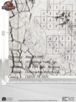 Jurassic Park III Excavation Map Velociraptor 27 cm - immagine 5