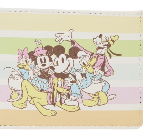Disney by Loungefly Cardholder Mickey and Friends Rainbow Stripes