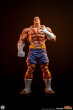 Street Fighter Street Jam Statuen 1/10 Sagat & Juli 24 cm - immagine 3