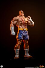 Street Fighter Street Jam Statuen 1/10 Sagat & Juli 24 cm - immagine 5
