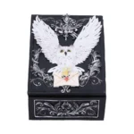 OWL MESSENGER COOKIES BOX