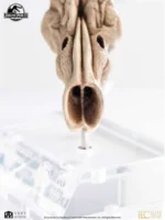 WOLFENSTEIN TBG 3D TERRAIN ENGLISH - immagine 1169