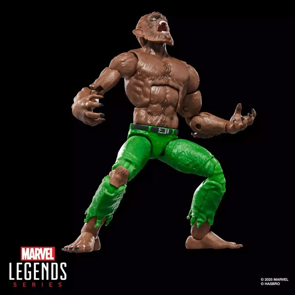 109989__1374159310 MARVEL LEGENDS EXECUTIONER BFS WEREWOLF BY NIGHT ACTIONE FIGURE - immagine 1