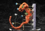R-TYPE DOBKERATOPS FIGMA AF - immagine 5