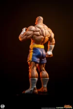 STREET FIGHTER STREET JAM SAGAT & JULI 1:10 SCALE STATUE SET - immagine 3