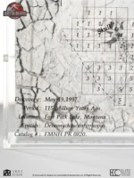 JOHN BLANCHE VOL.4 PAINT SET - immagine 1727