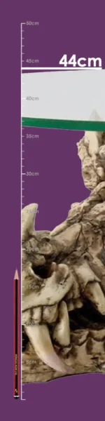 DRACONIC RELIC TABLE - immagine 3