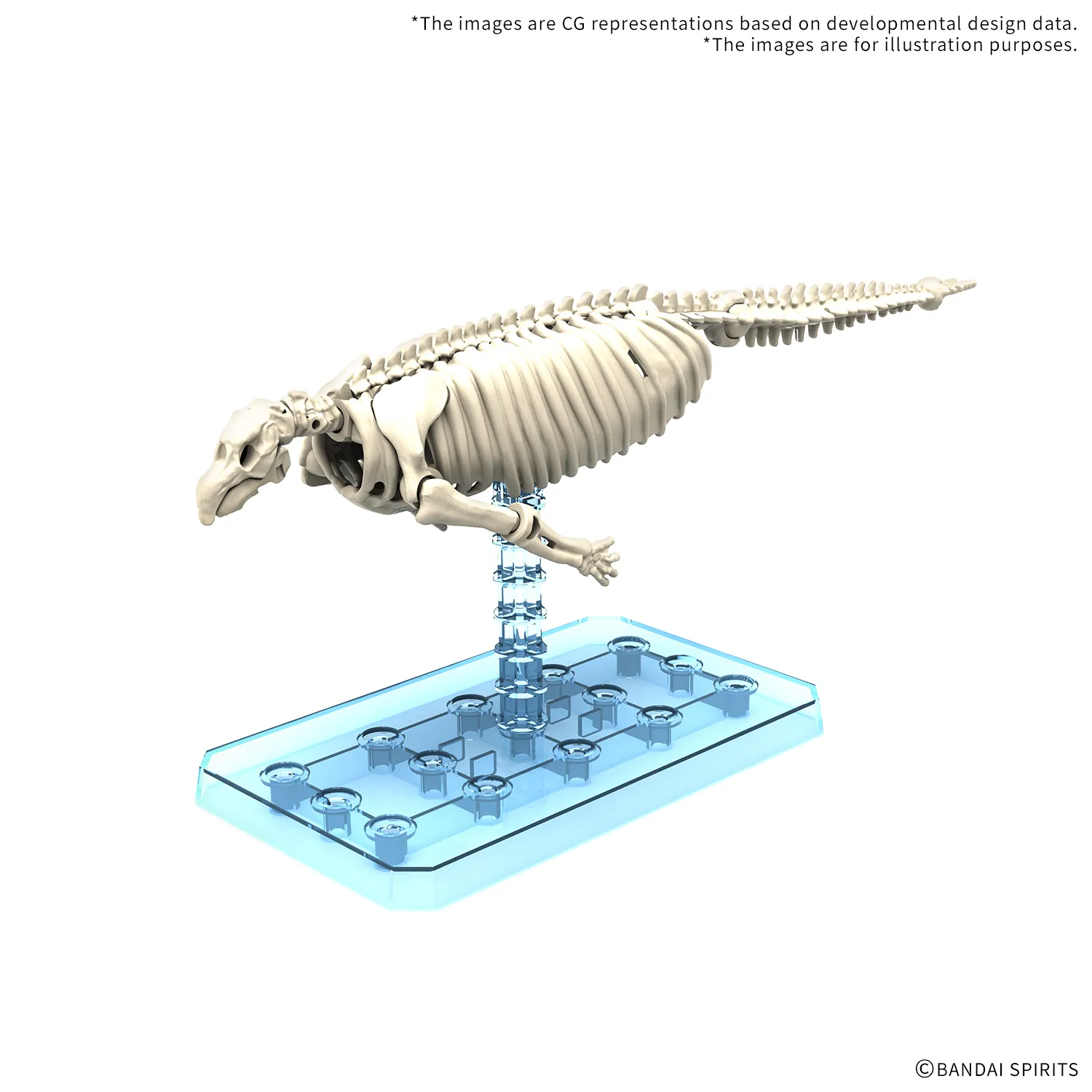 113032__e39e4121 PLANNOSAURUS HYDRODAMALIS GIGAS - immagine 1