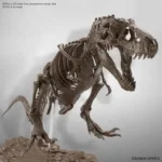 IMAGINARY SKELETON TYRANNOSAURUS 1/32