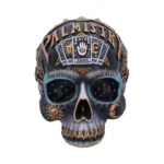 DESTINY PALMISTRY SKULL - immagine 6