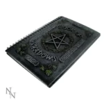 NOTEBOOK RESIN SPIRAL COVER IVY PENTAGRM - immagine 4