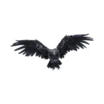 DARK FEATHER STATUE 55 CM - immagine 5