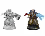 D&D NOLZUR'S MARVELOUS MINIATURES - HUMAN MALE WIZARD