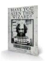 HARRY POTTER SIRIUS WANTED WOOD PRINT - immagine 3