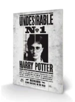 HARRY POTTER UNDESIREABLE N.1 WOOD PRINT - immagine 3