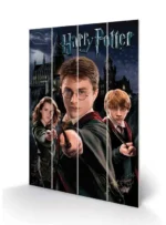 HP HARRY RON HERMIONE WOOD PRINT - immagine 3