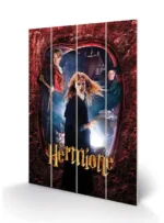 HARRY POTTER HERMIONE WOOD PRINT - immagine 3