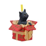 CAT PRESENT HANGING ORNAMENT - immagine 8