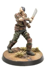 FWW  RAIDERS: PSYCHOS & SCAVVERS - immagine 3