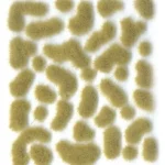 TUFT WILD SC403 BEIGE SMALL