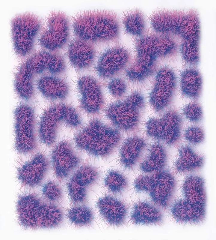 73516__2712942502 TUFT WILD SC430 FANTASY NEON MEDIUM - immagine 1