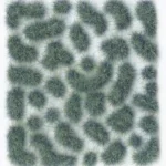 TUFT WILD SC432 FANTASY TURQUOISE LARGE