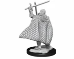 PATHFINDER DEEP CUT UNPAINTED MINIATURES - ELF MALE FIGHTER 3