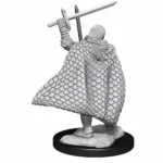 PATHFINDER DEEP CUT UNPAINTED MINIATURES - ELF MALE FIGHTER 3