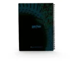 HP PRISIONER AZKABAN POSTER 3D NBOOK - immagine 4