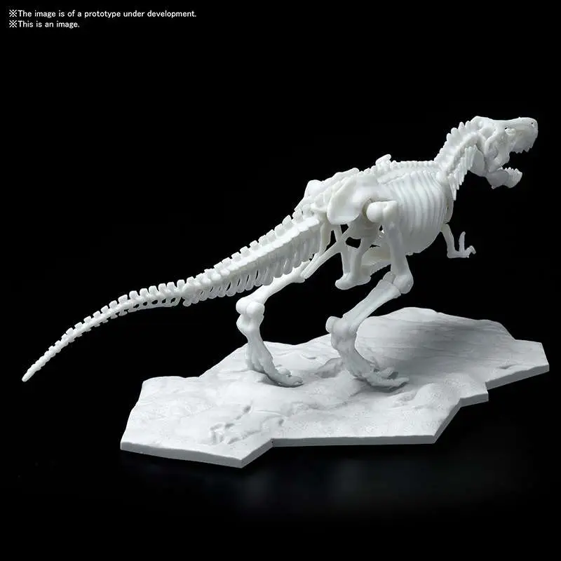 78387__2678384479 DINOSAUR LIMEX SKELETON TYRANNOSAURUS MK - immagine 1