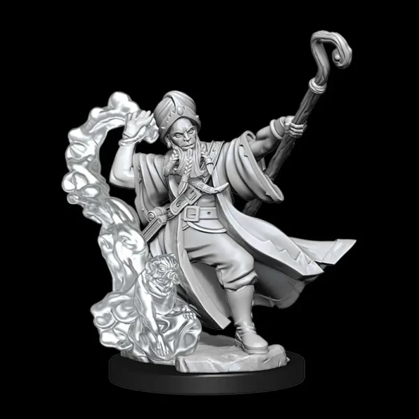 D&D FRAMEWORKS-HUMAN WIZARD MALE