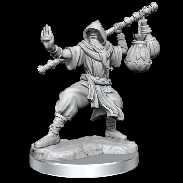 D&D FRAMEWORKS-HUMAN MONK MALE