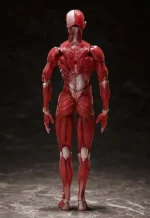 HUMAN ANATOMICAL MODEL FIGMA AF - immagine 6