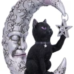 LUNA COMPANION MOON AND CAT ORNAMENT - immagine 5