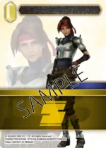 WOLFENSTEIN TBG 3D TERRAIN ENGLISH - immagine 1467