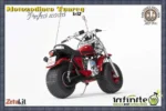 TUAREG MOTO ZODIACO PERFECT MODEL 1/12 - immagine 8
