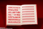 ZATCH BELL RED SPELLBOOK PROPLICA - immagine 6