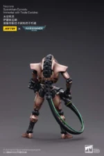 WH40K NECRONS IMMORT WITH TESLA CARBINE - immagine 6