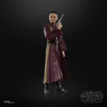 SW BL TPM PADME AMIDALA AF