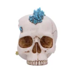 SKULL CRYSTAL CAVE BLUE DRAGON - immagine 7