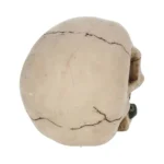 SKULL GOTHIC ROSE FROM THE DEAD - immagine 8