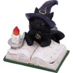 BLACK CAT - FAMILIAR'S SPELL ORNAMENT - immagine 5