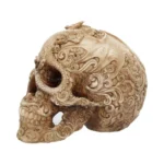 SKULL ORNAMENT CRANIAL DRAKOS - immagine 6