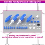 30MS AC19B SIANA AMARCIA VIVACE FORM - immagine 7