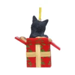 CAT PRESENT HANGING ORNAMENT - immagine 7