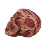ROTTING ZOMBIE SKULL ORNAMENT 17CM - immagine 7