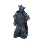 BATMAN & CATWOMAN DC COLLECTIBLE BUST - immagine 7
